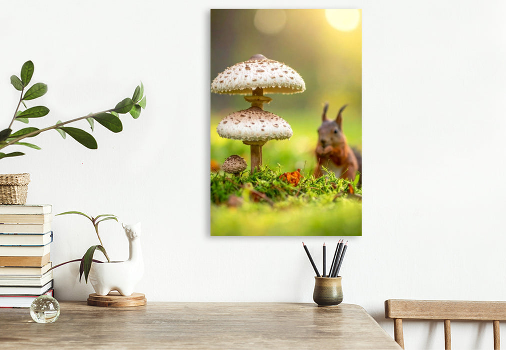 Premium Textil-Leinwand Eichhörnchen und Parasolpilze auf der Wiese