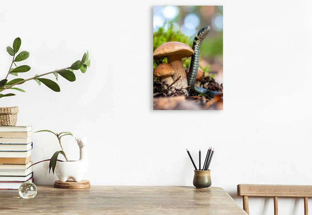 Premium Textil-Leinwand Steinpilz und Ringelnatter