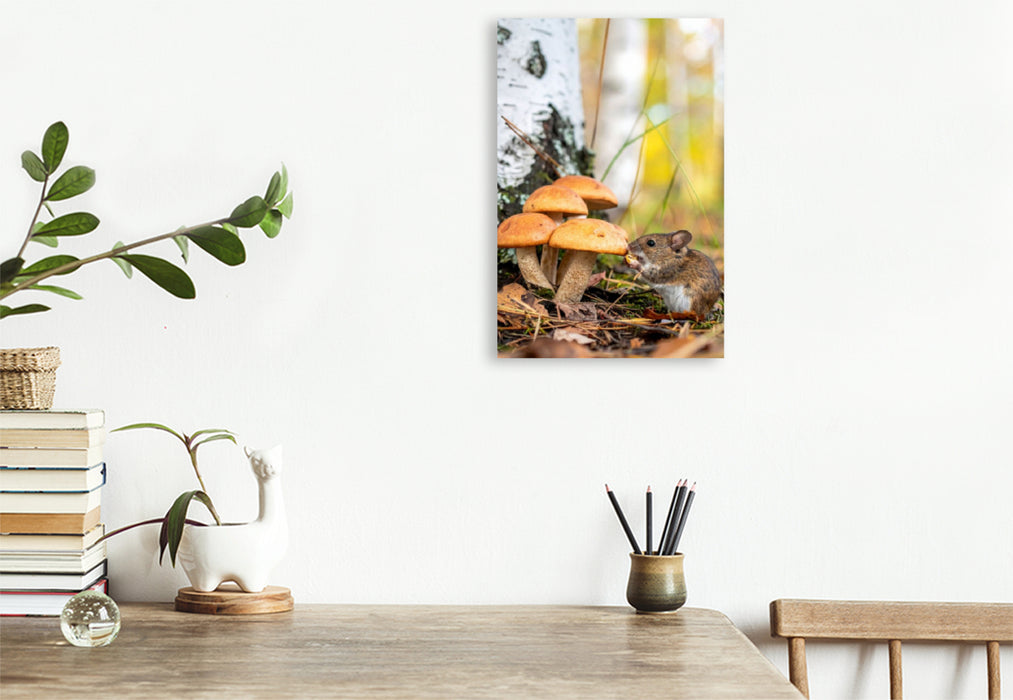 Premium Textil-Leinwand Birkenpilze und Maus