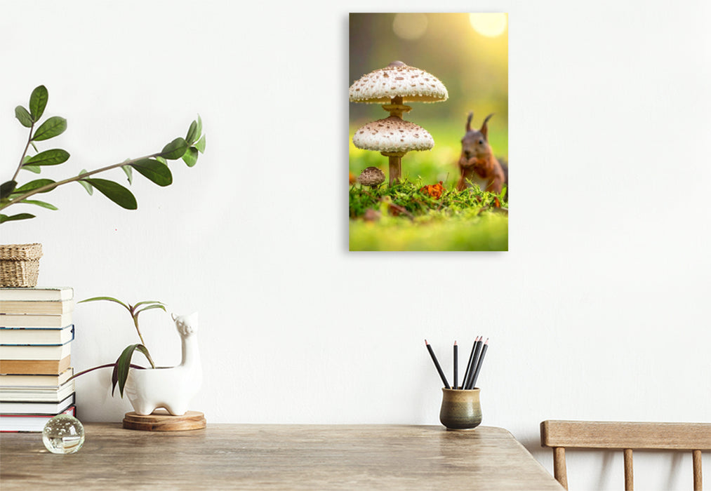 Premium Textil-Leinwand Eichhörnchen und Parasolpilze auf der Wiese