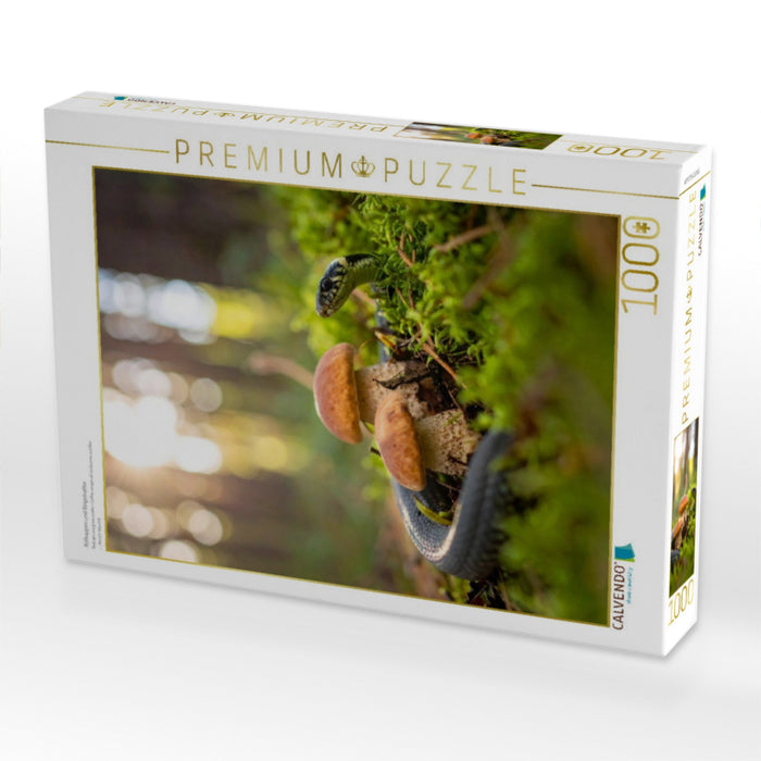 Rotkappen und Ringelnatter - CALVENDO Foto-Puzzle'