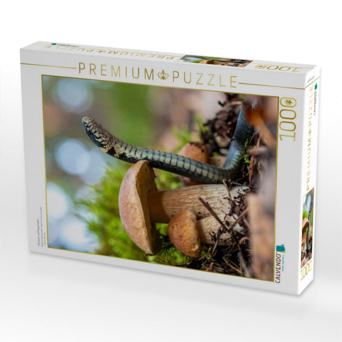 Steinpilz und Ringelnatter - CALVENDO Foto-Puzzle'
