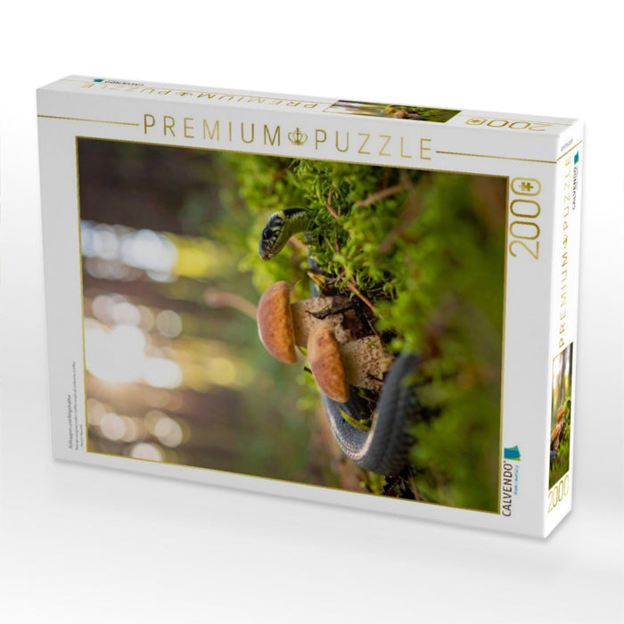 Rotkappen und Ringelnatter - CALVENDO Foto-Puzzle'