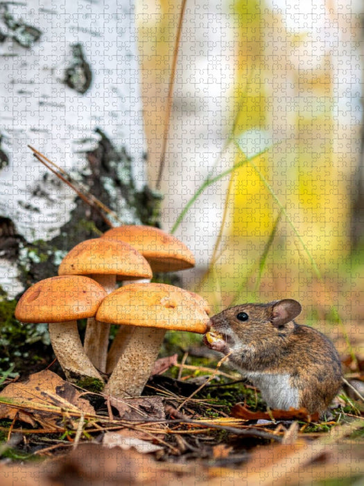 Birkenpilze und Maus - CALVENDO Foto-Puzzle'