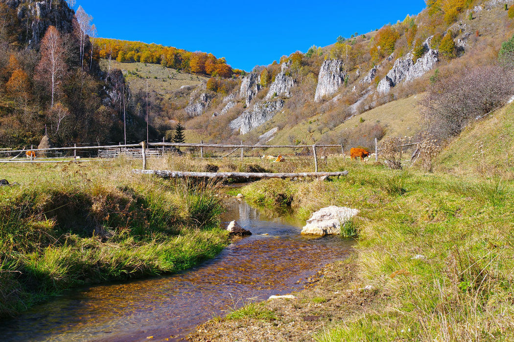 Premium Textil-Leinwand Leben zwischen Wiesen, Wasser und Himmel