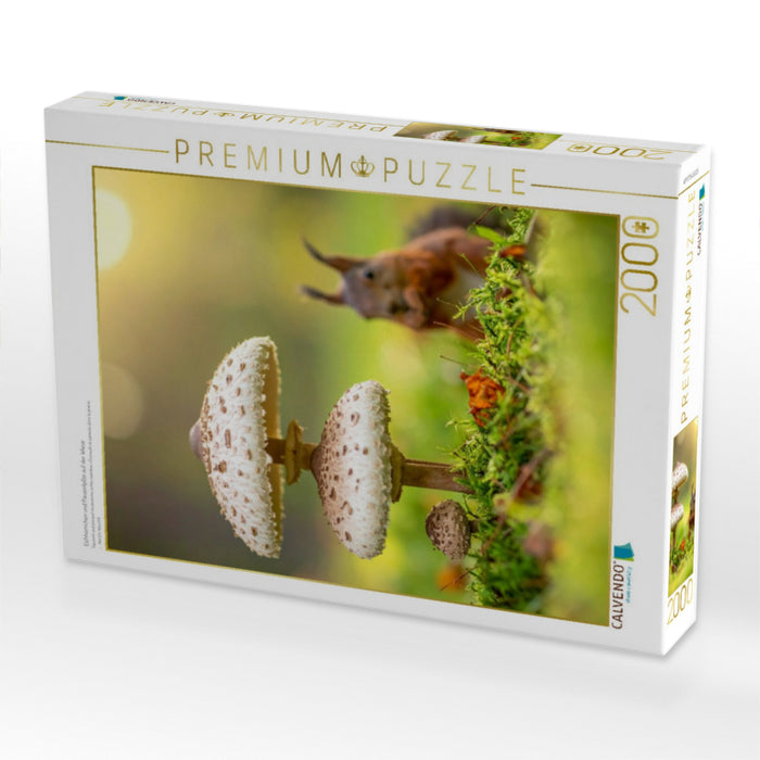 Eichhörnchen und Parasolpilze auf der Wiese - CALVENDO Foto-Puzzle'