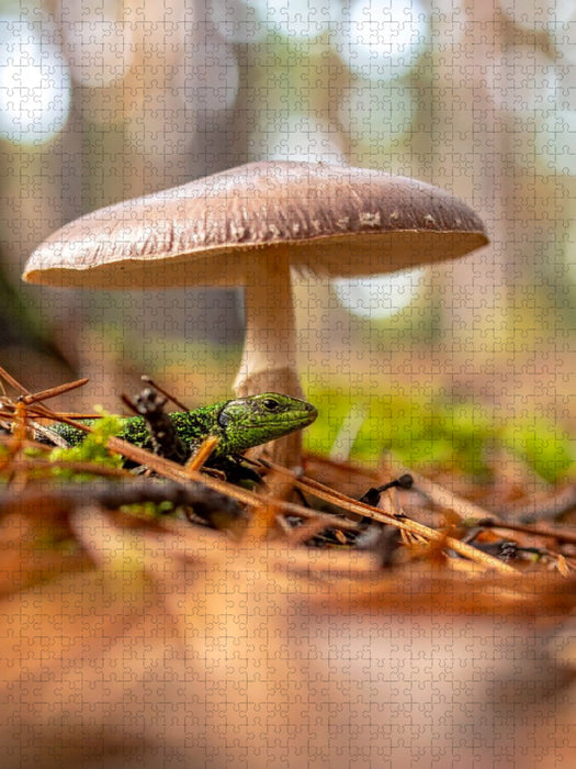 Schirmpilz und Eidechse - CALVENDO Foto-Puzzle'
