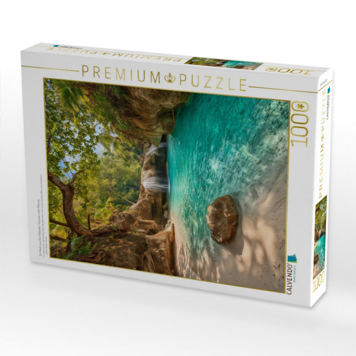 Ein Motiv aus dem Kalender Träumen unter Palmen - CALVENDO Foto-Puzzle'