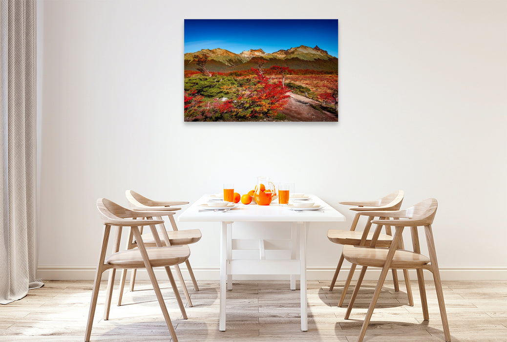 Premium Textil-Leinwand Tierra del Fuego Wald