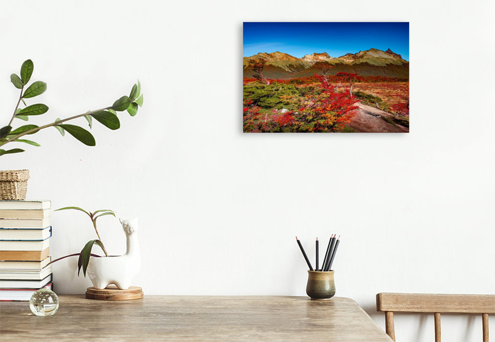 Premium Textil-Leinwand Tierra del Fuego Wald