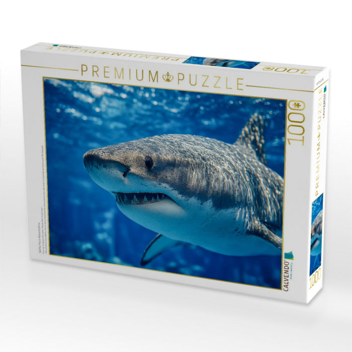 Weißer Hai in Nahaufnahme - CALVENDO Foto-Puzzle'