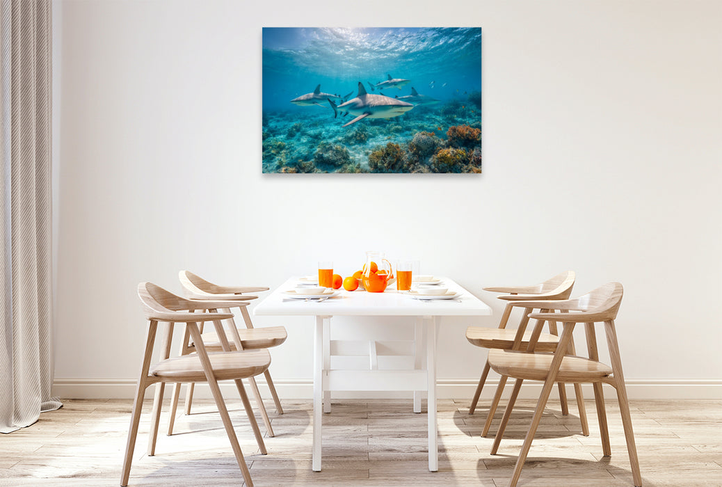Premium Textil-Leinwand Haie über Korallenriff im Ozean