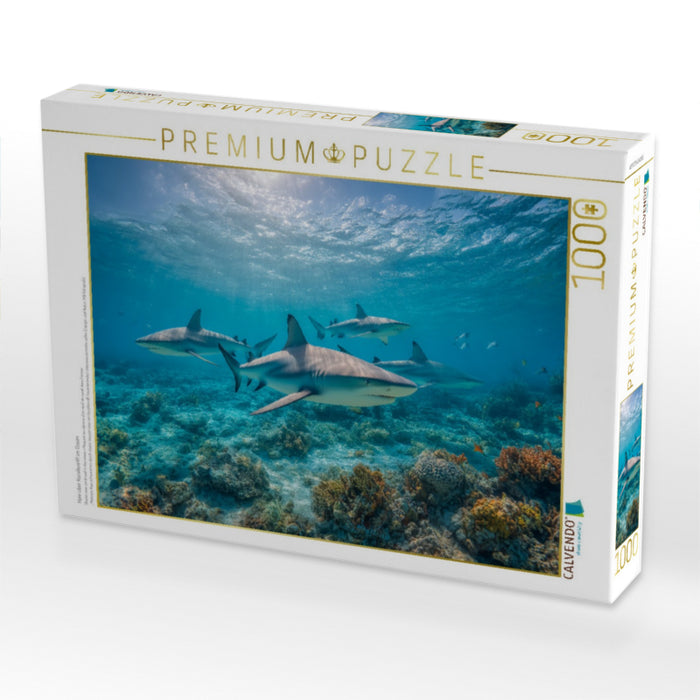 Haie über Korallenriff im Ozean - CALVENDO Foto-Puzzle'