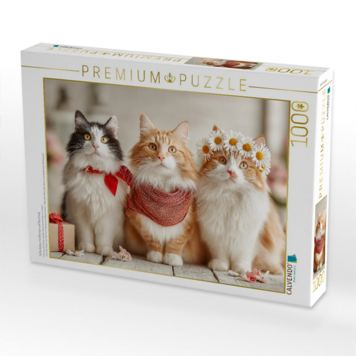 Süße Katzen mit Blumen und Geschenk - CALVENDO Foto-Puzzle'