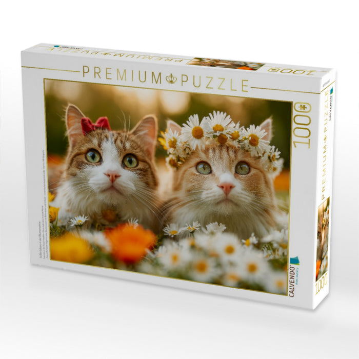 Süße Katzen in der Blumenwiese - CALVENDO Foto-Puzzle'