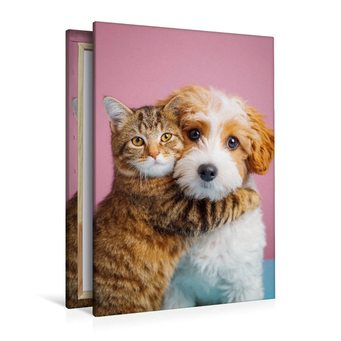 Premium Textil-Leinwand Hund und Katze in Freundschaft – Cockerpoo mit getigerter Katze