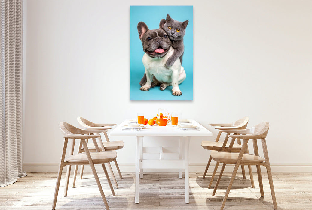 Premium Textil-Leinwand Französische Bulldogge und Katze – Tierische Freundschaft voller Nähe