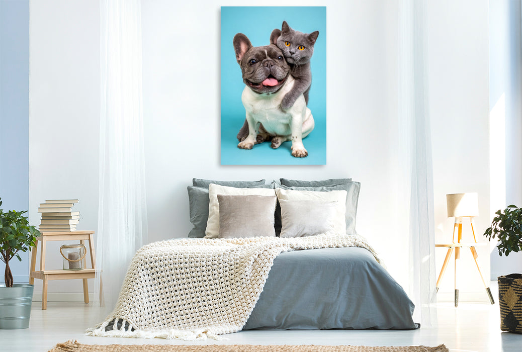 Premium Textil-Leinwand Französische Bulldogge und Katze – Tierische Freundschaft voller Nähe