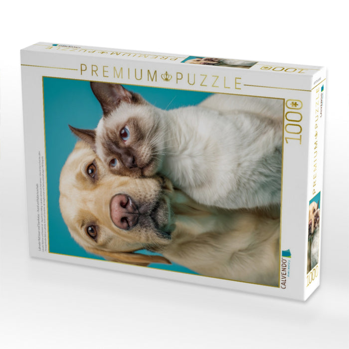 Labrador Retriever und Siamkatze – Hund und Katze kuscheln - CALVENDO Foto-Puzzle'