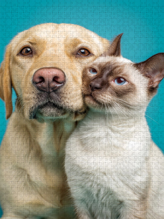 Labrador Retriever und Siamkatze – Hund und Katze kuscheln - CALVENDO Foto-Puzzle'