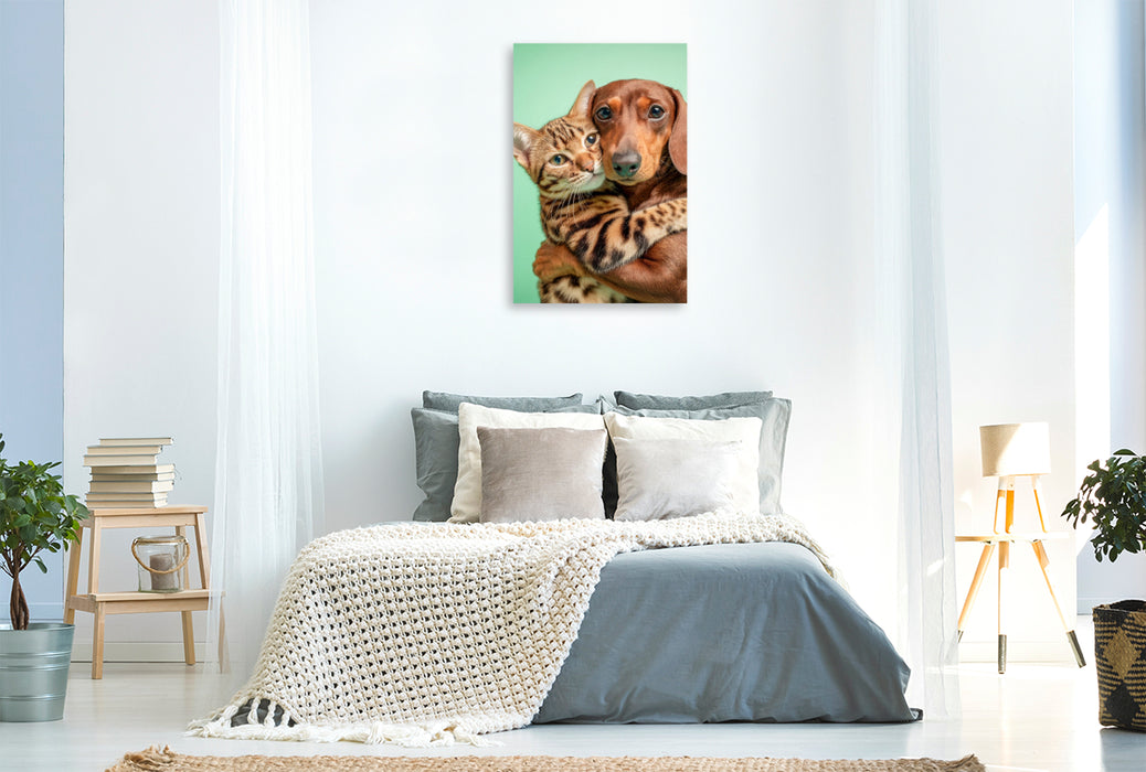 Premium Textil-Leinwand Ein Dackel umarmt eine Bengalkatze und zeigt wahre Tierfreundschaft