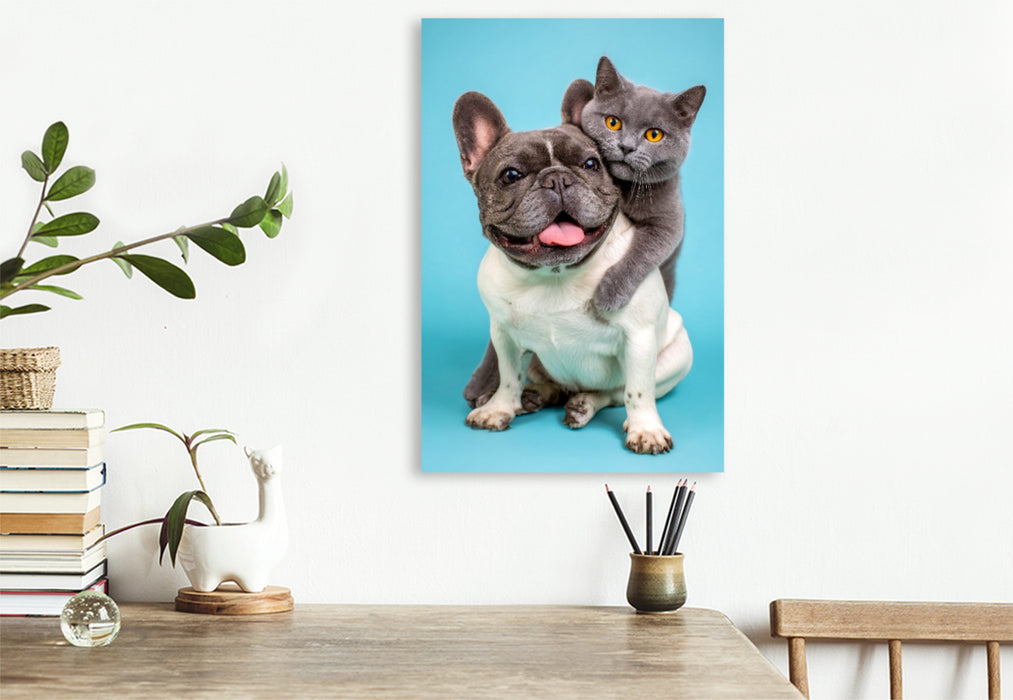 Premium Textil-Leinwand Französische Bulldogge und Katze – Tierische Freundschaft voller Nähe