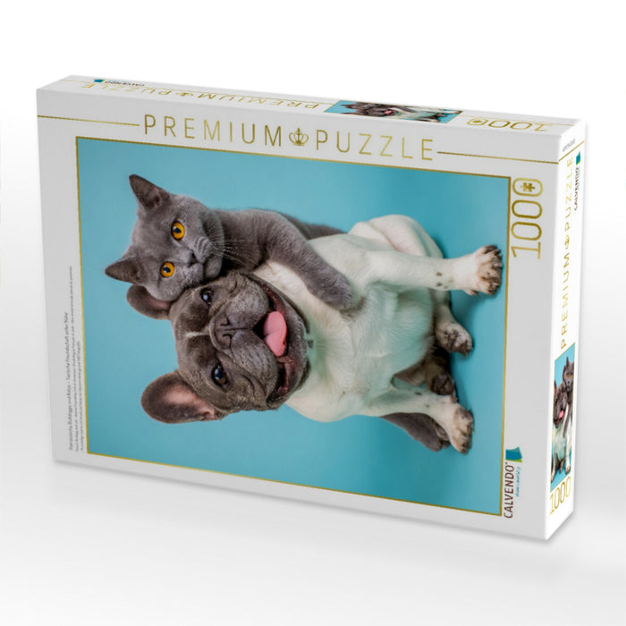 Französische Bulldogge und Katze – Tierische Freundschaft voller Nähe - CALVENDO Foto-Puzzle'