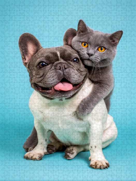 Französische Bulldogge und Katze – Tierische Freundschaft voller Nähe - CALVENDO Foto-Puzzle'