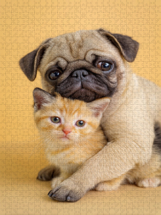 Mopswelpe umarmt Kätzchen – Tierische Freundschaft voller Liebe - CALVENDO Foto-Puzzle'
