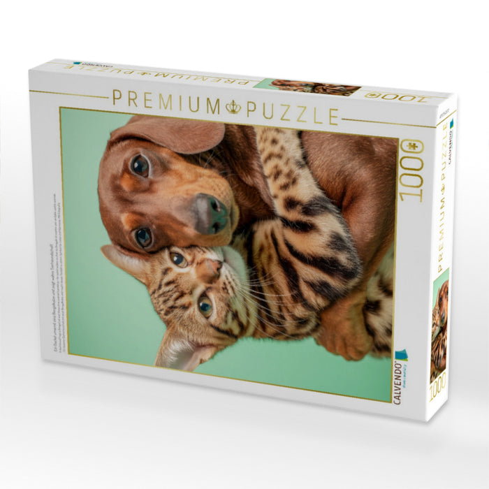 Ein Dackel umarmt eine Bengalkatze und zeigt wahre Tierfreundschaft - CALVENDO Foto-Puzzle'