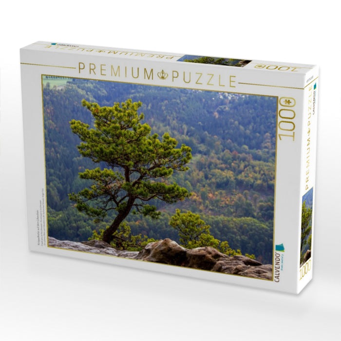 Krüppelkiefer auf dem Lilienstein - CALVENDO Foto-Puzzle'