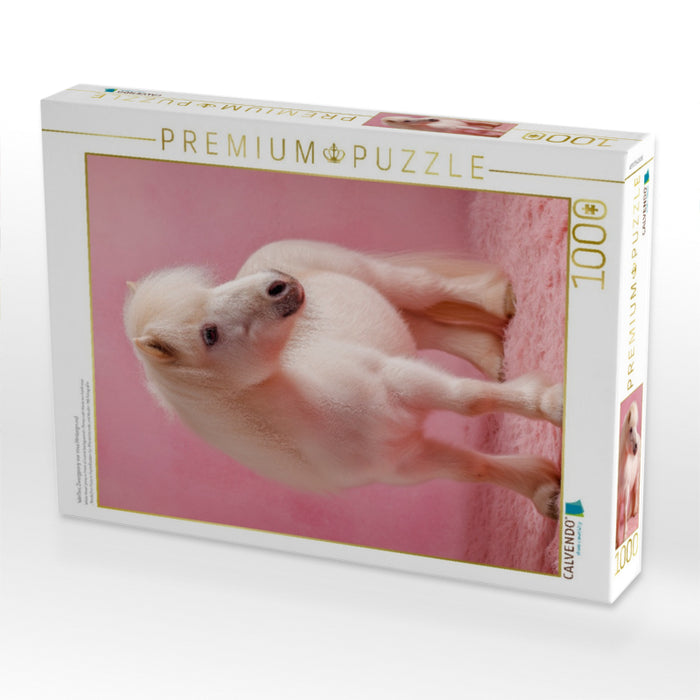 Weißes Zwergpony vor rosa Hintergrund - CALVENDO Foto-Puzzle'