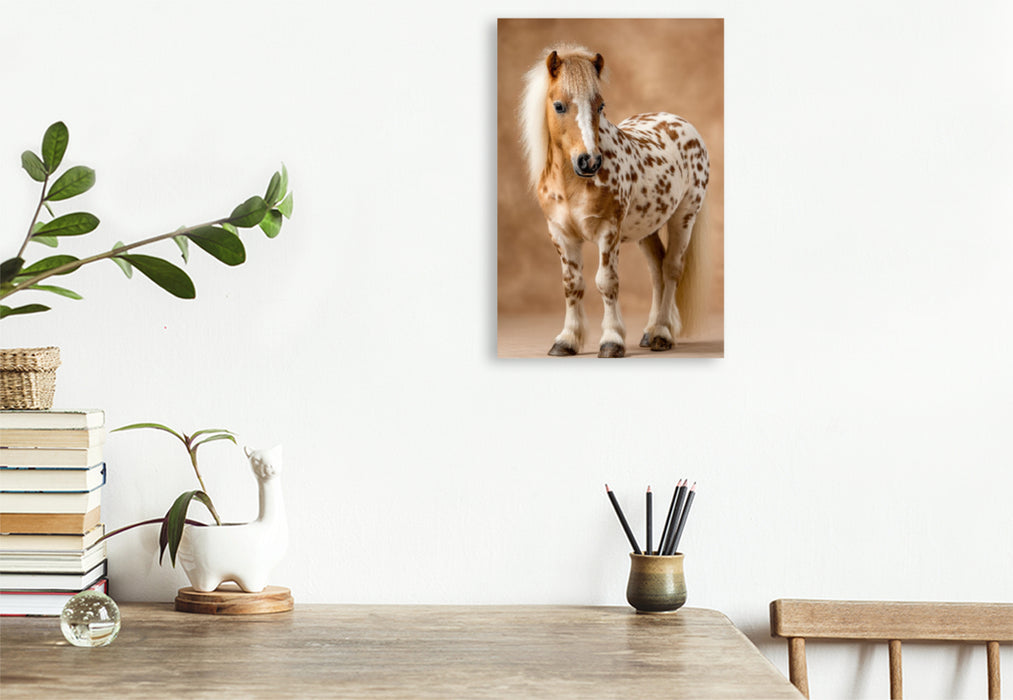 Premium Textil-Leinwand Geflecktes Zwergpony Bild im Portrait