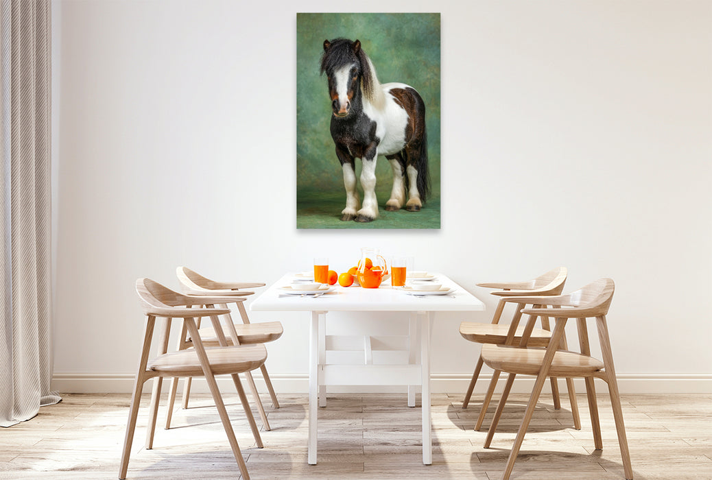 Premium Textil-Leinwand Zwergpony Bild im Studio mit grünem Hintergrund