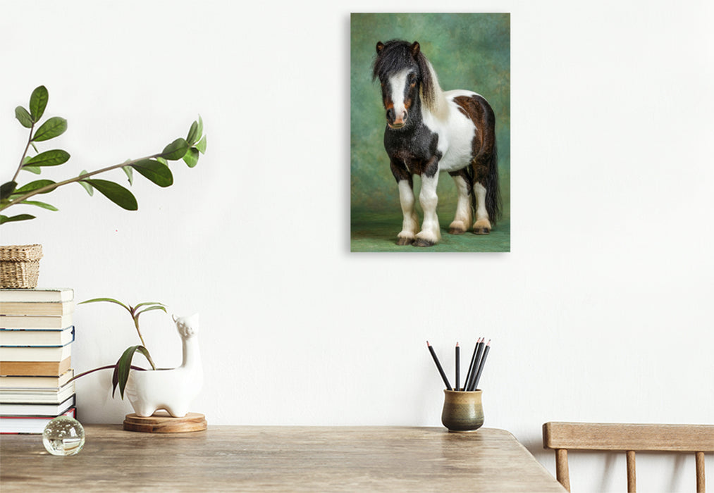 Premium Textil-Leinwand Zwergpony Bild im Studio mit grünem Hintergrund