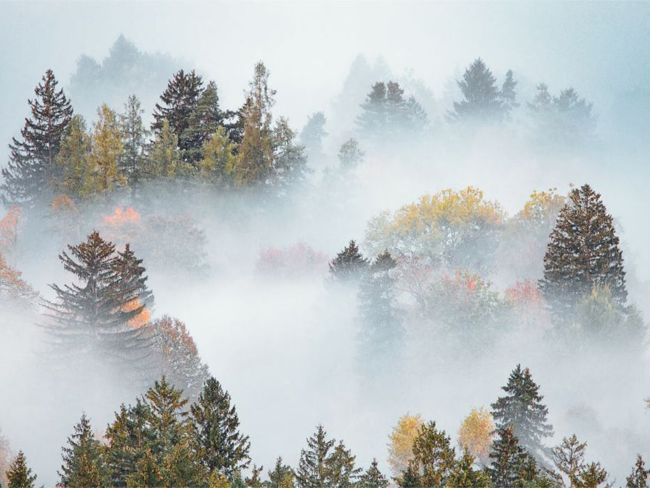 Schwangau, Ostallgäu - CALVENDO Foto-Puzzle'