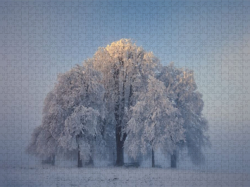 Amalienhöhe Heiligenberg, Linzgau - CALVENDO Foto-Puzzle'