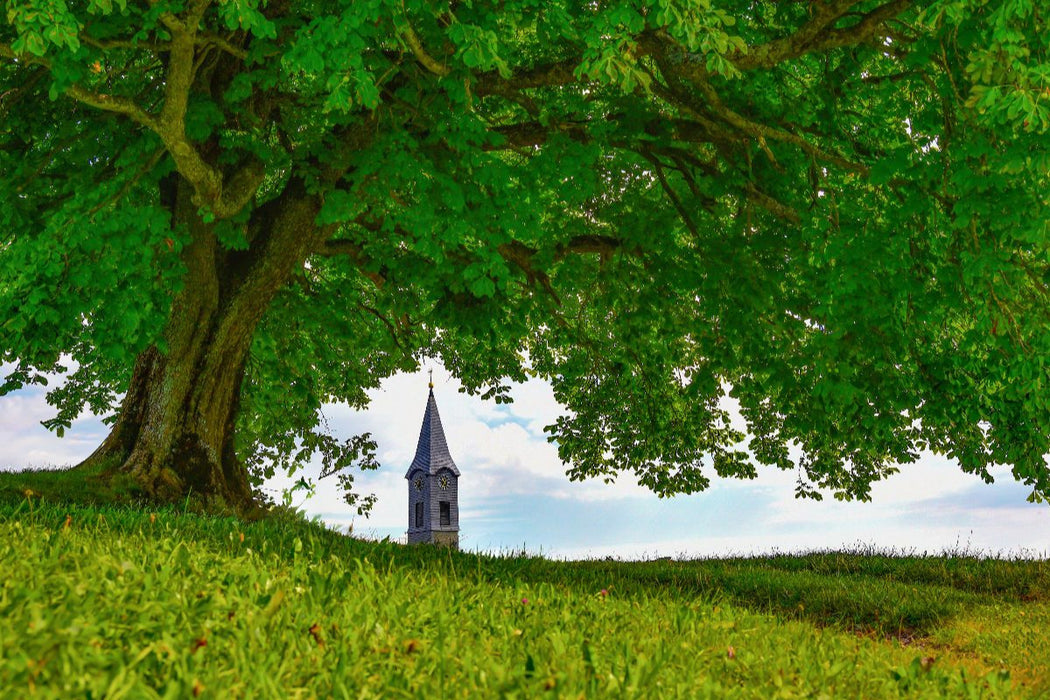 Premium Textil-Leinwand Neugieriger Kirchturm