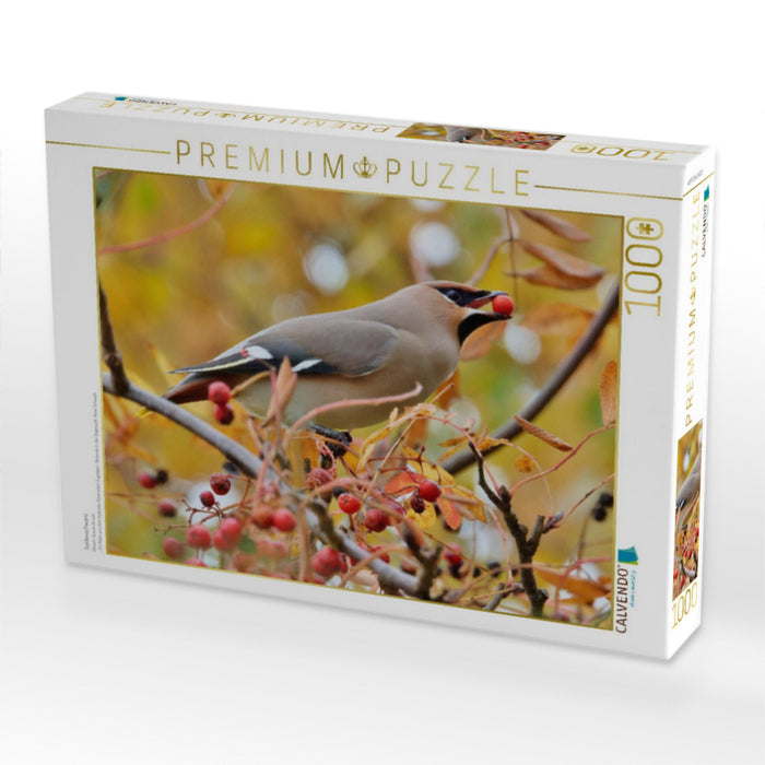 Seidenschwanz - CALVENDO Foto-Puzzle'