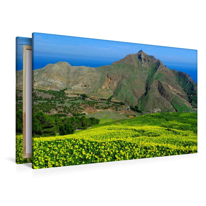 Premium Textil-Leinwand Pico Branco blühender Klee