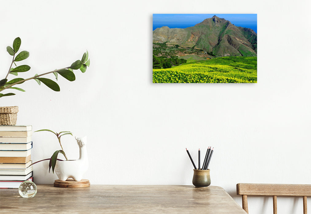 Premium Textil-Leinwand Pico Branco blühender Klee