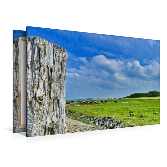 Premium Textil-Leinwand Kühe an der Schelde bei Breskens
