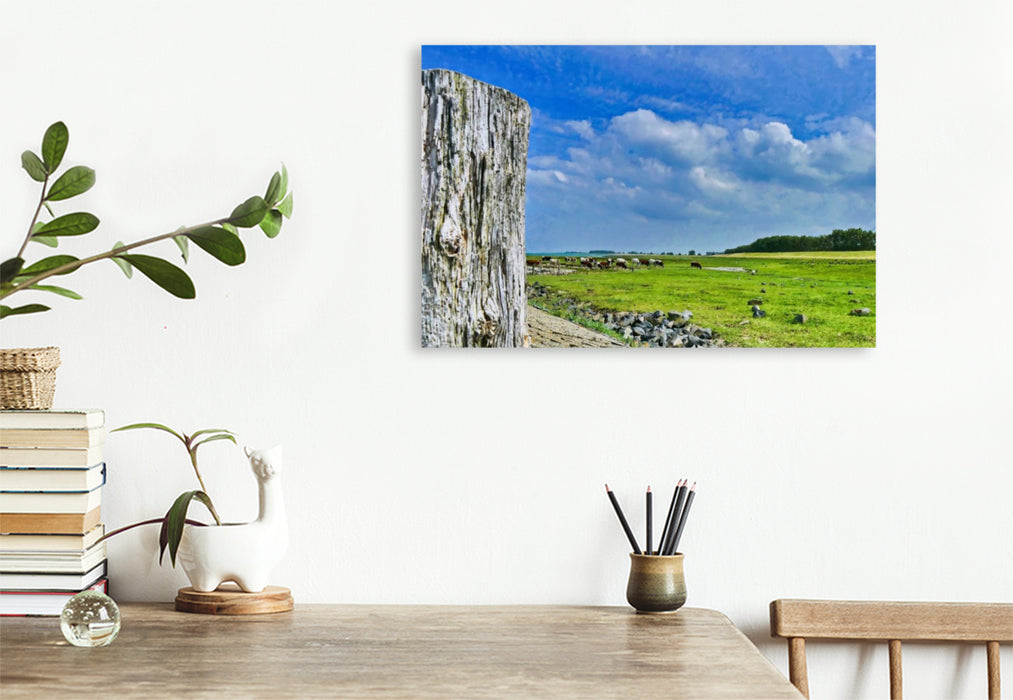 Premium Textil-Leinwand Kühe an der Schelde bei Breskens