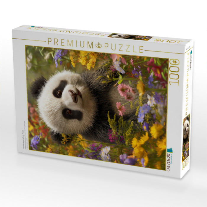 Sommerlaune auf vier Pfoten - CALVENDO Foto-Puzzle'
