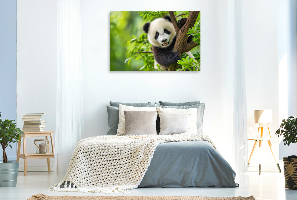 Premium Textil-Leinwand Ein Motiv aus dem Kalender Panda Magie