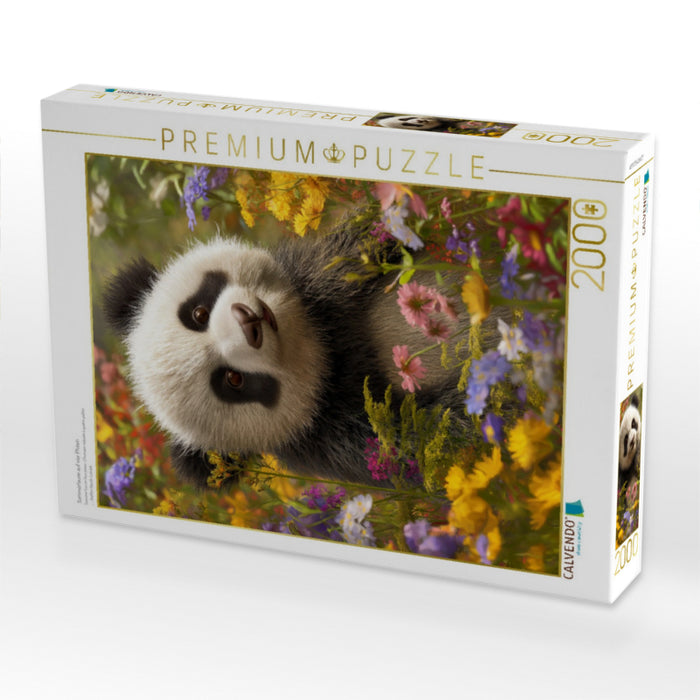 Sommerlaune auf vier Pfoten - CALVENDO Foto-Puzzle'