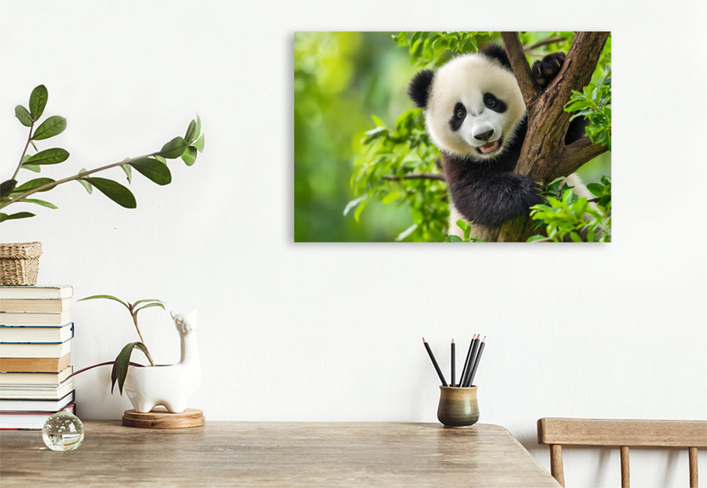 Premium Textil-Leinwand Ein Motiv aus dem Kalender Panda Magie