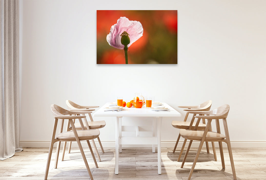 Premium Textil-Leinwand Verletzliche Schönheit