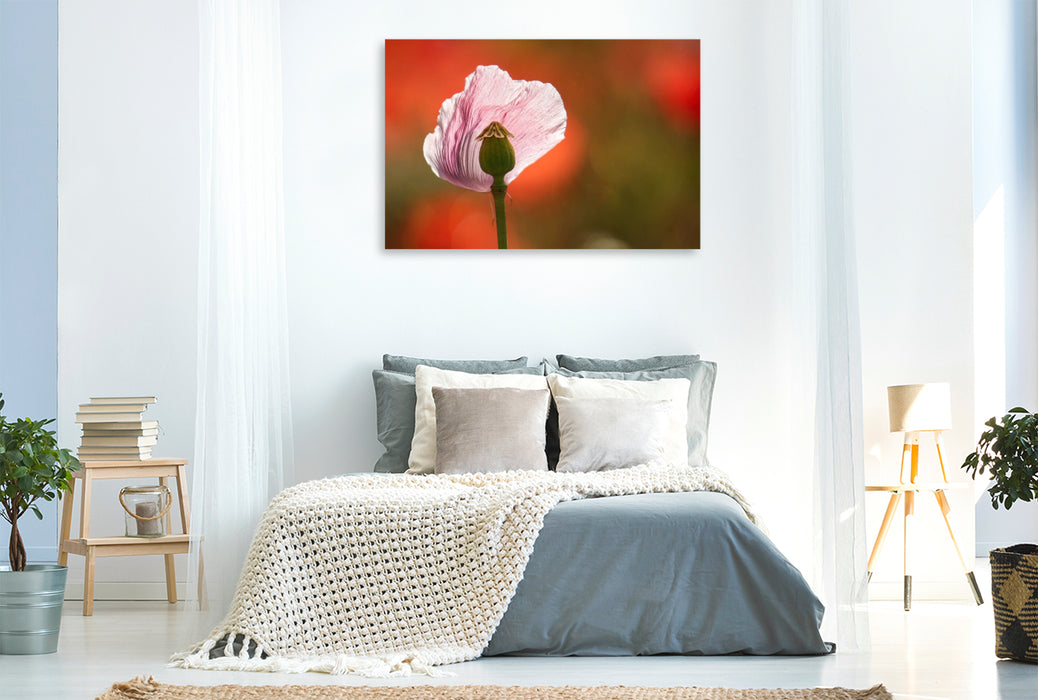 Premium Textil-Leinwand Verletzliche Schönheit