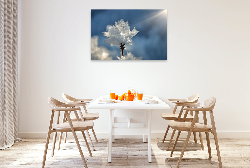 Premium Textil-Leinwand Kristallblüte im Sonnenschein